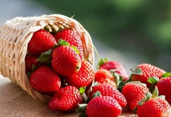 El agro mexicano acusa a EU de violar el T-MEC al acusar de ‘dumping’ a sus fresas