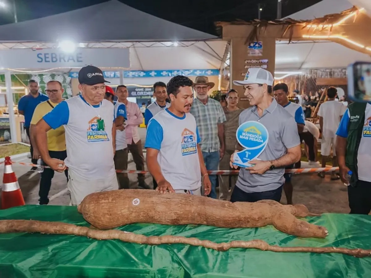 Festival da Farinha: Mandioca de mais de 30 kg e raiz com quase 4 metros vencem concurso no Acre