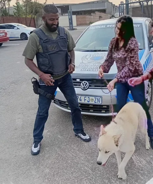 WATCH: Stolen Husky Hunter reunited with family after search leads to Lamontville
