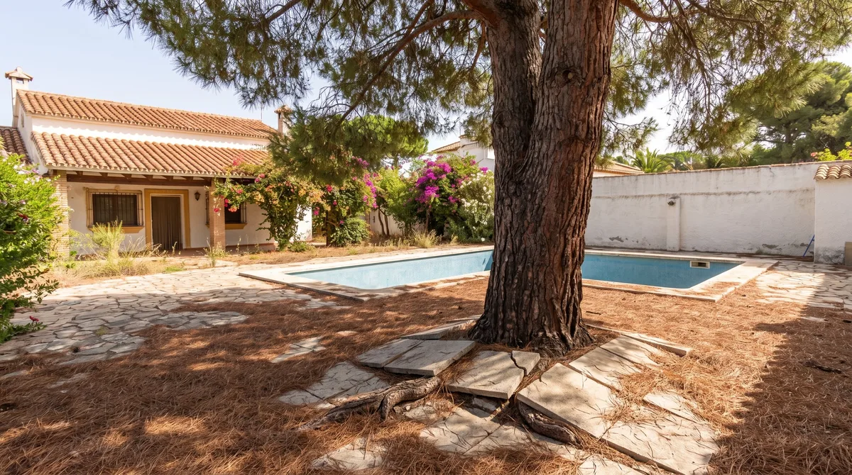 Los tres árboles que nunca debes plantar junto a tu piscina: pueden arruinar la alberca