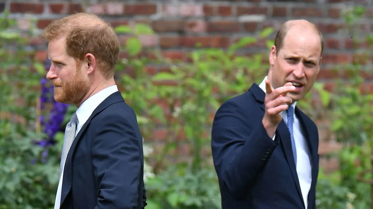 Harry gegen William - Wer schuldet eigentlich wem ein Sorry?