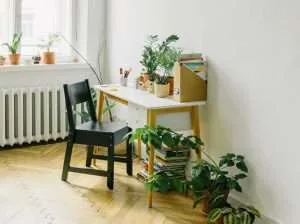 Feng Shui para principiantes