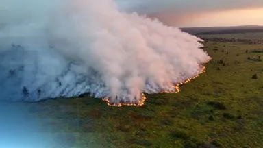 Belgiens Innenminister: Waldbrand teils "unter Kontrolle"