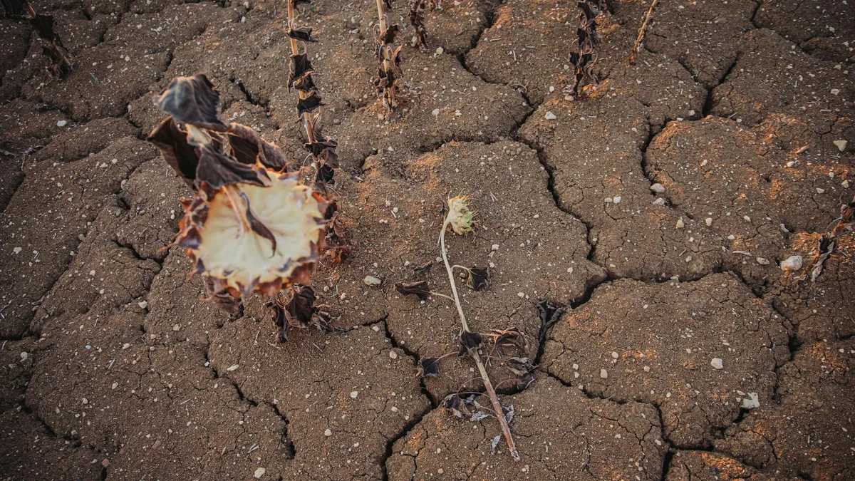 Le climat dantesque de l’été va-t-il s’inviter davantage (et persister) dans le débat pour 2027 ?