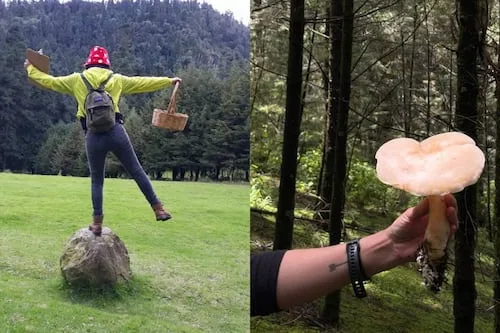 Únete a un tour de "hongosto" en un bosque de CDMX