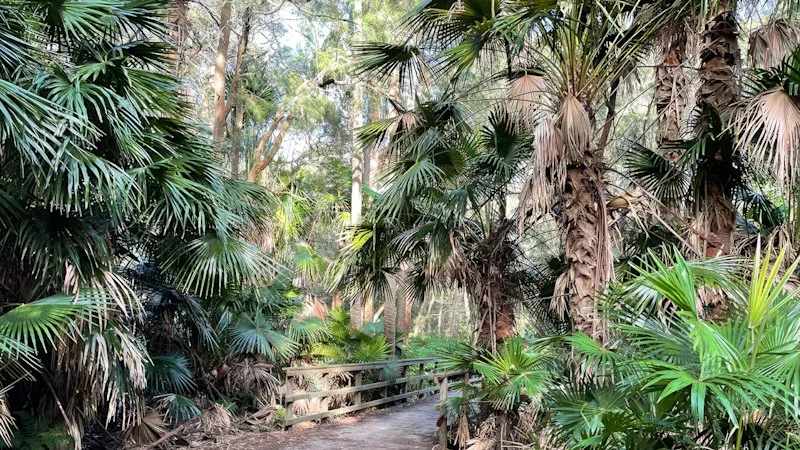Teen, 13, arrested as police investigate alleged sex offences on walking trails