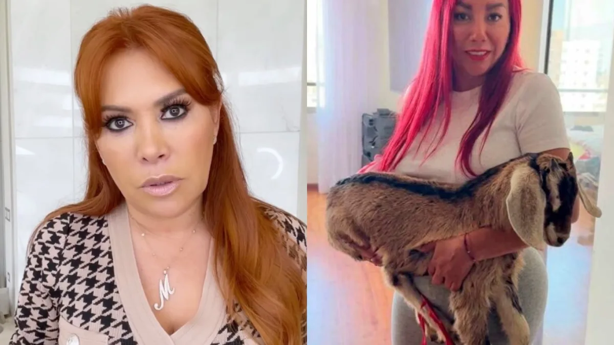 Magaly Medina retira su apoyo a Deysi Araujo y la acusa de maltrato animal por tener una cabrita en su departamento