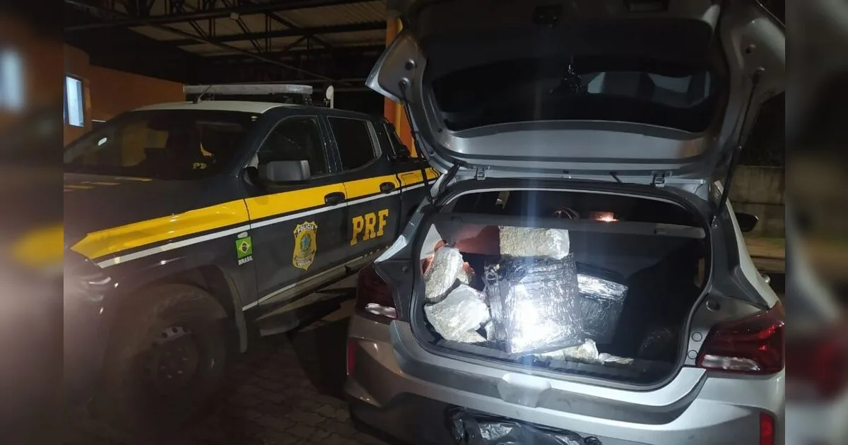 PRF apreende mais de 70 quilos de maconha e skunk e prende motorista na BR-277 em Cascavel