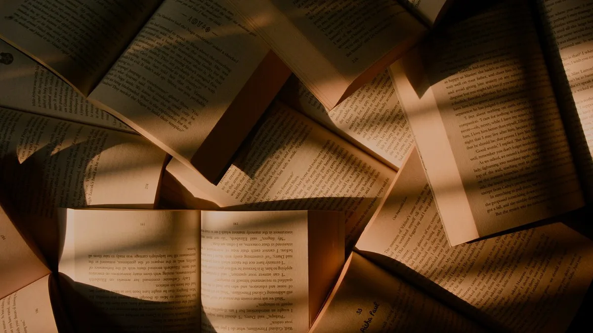 Não sabe o que ler em outubro? De romances portugueses a thrillers internacionais, eis 12 novidades a não perder
