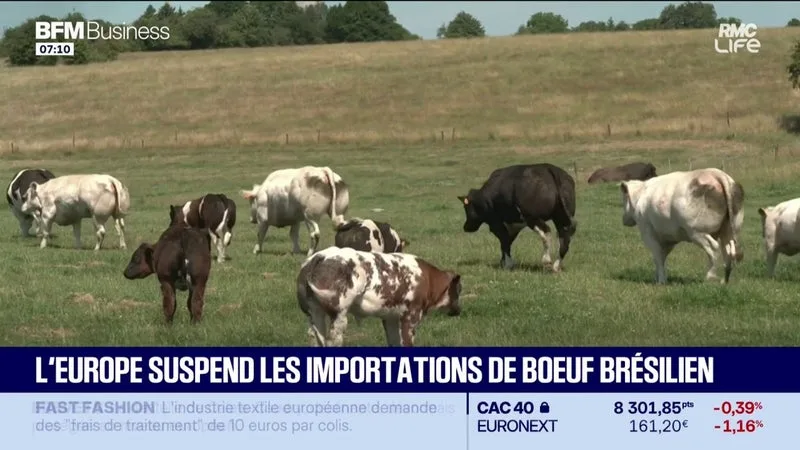 L'UE suspend l'importation de bœuf brésilien