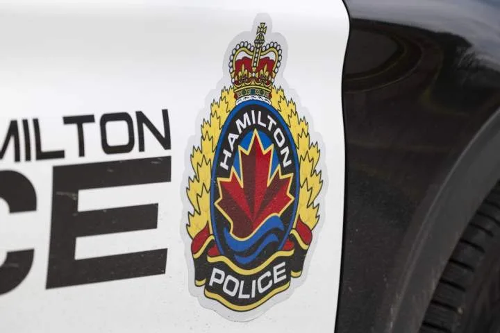 Six puppies ‘in distress’ rescued by police in Hamilton