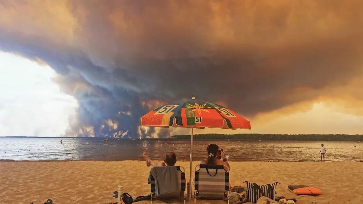 Canicules, sécheresse, incendies... Suivez l'émission spéciale de franceinfo consacrée à "l'été qui a tout changé"