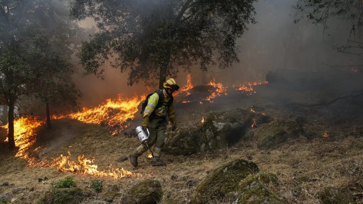 Los incendios han arrasado ya más de 265.000 hectáreas en 2026: "No es solo el cambio climático, ha habido muchas negligencias"