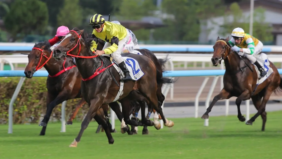 Jockey Club on standby for Sha Tin meeting move as Zac Purton continues momentum with a double