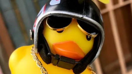 DuckDB: Amazon.com kauft Duck Labs