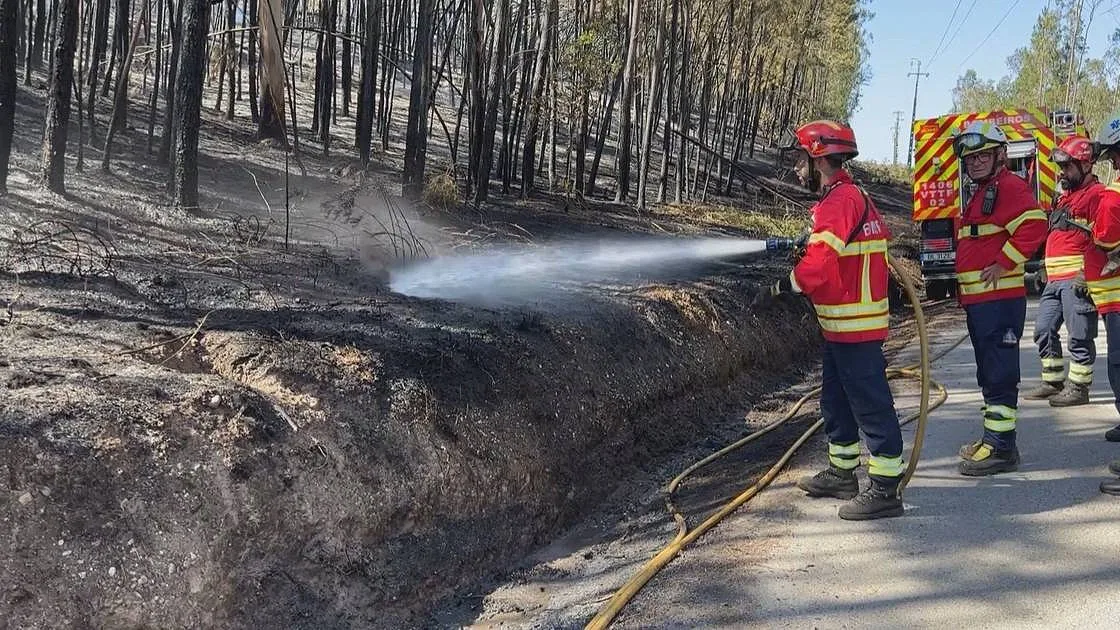 Fogo em Cantanhede em fase de resolução