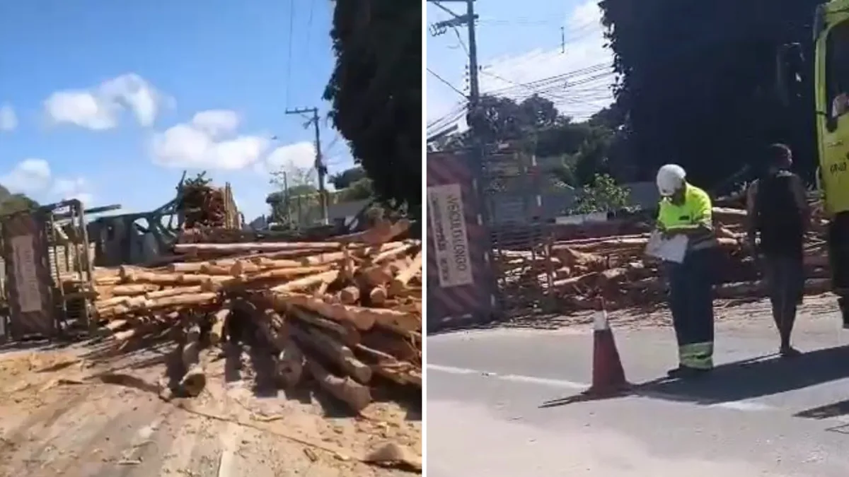 Carreta com eucalipto tomba e interdita faixa da BR 101 em Linhares