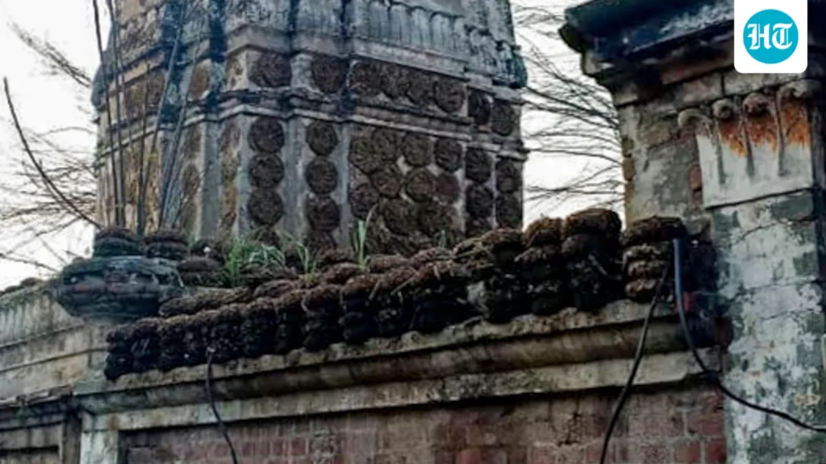 Over a 100-year-old Hindu temple ‘demolished’ in Pakistan's Punjab; officials say collapsed due to rain