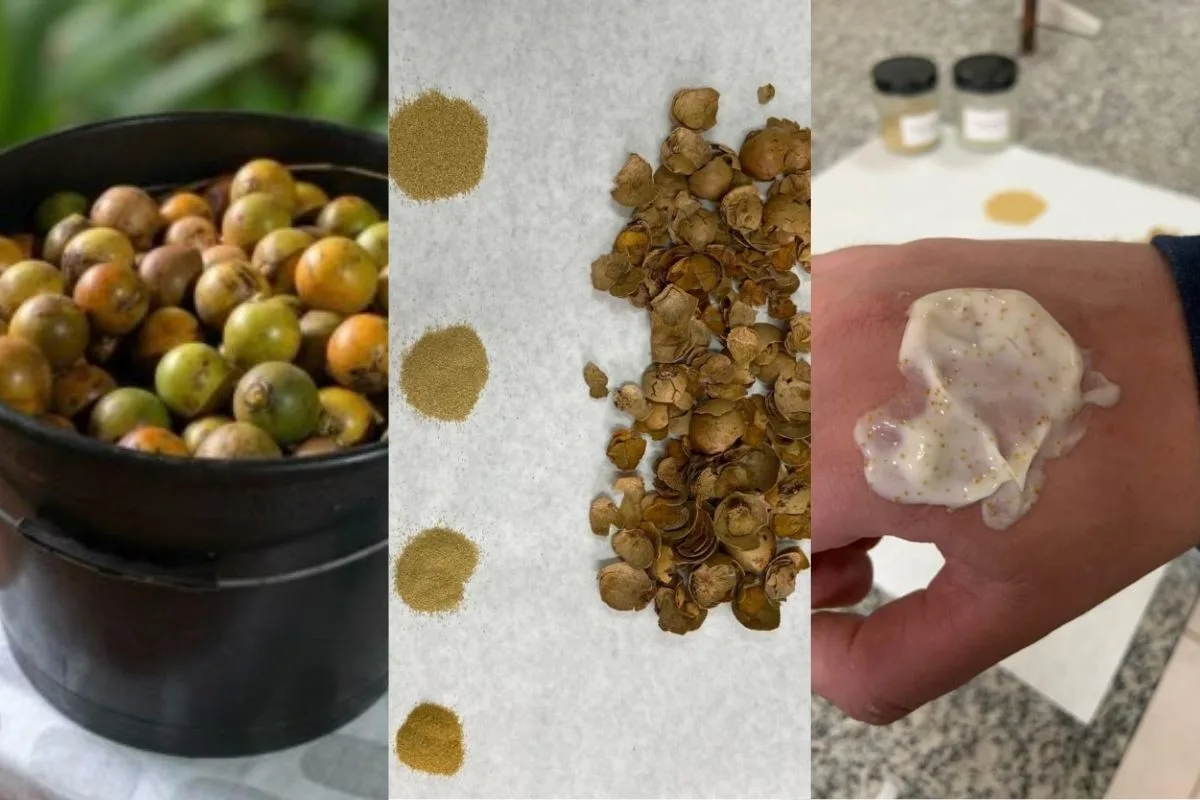 Casca de fruta vira ingrediente para cosmético desenvolvido por universidade de MS
