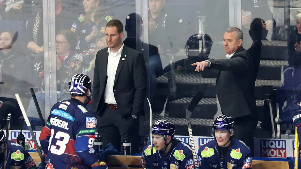 Eishockey-Sensation - Ein Eisbär wird neuer Bundestrainer