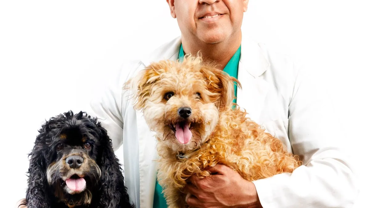 Carlos Gutiérrez, veterinario: “Los gatos no entienden los besos y los abrazos como las personas”