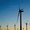 Estados norte-americanos processam Administração Trump por recuo na energia eólica