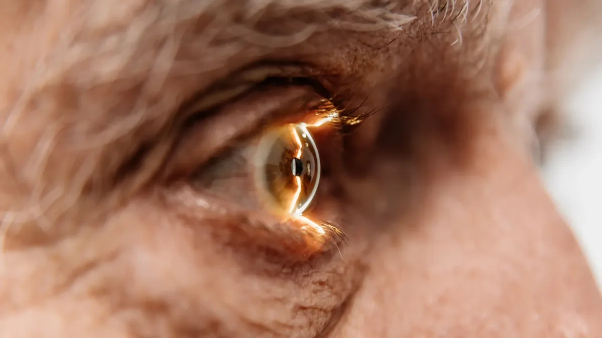 Harvard prueba en humanos una técnica destinada a restaurar visión en personas con glaucoma
