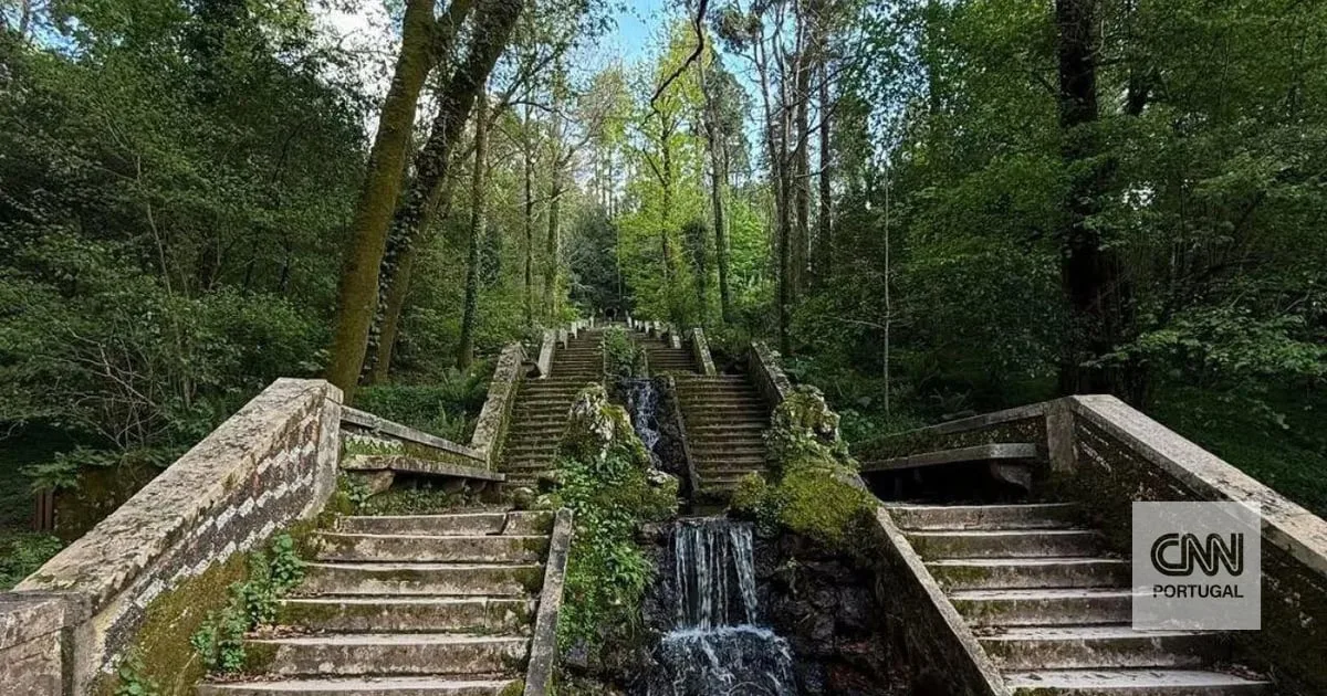 A primeira "floresta terapêutica" da Península Ibérica fica em Portugal