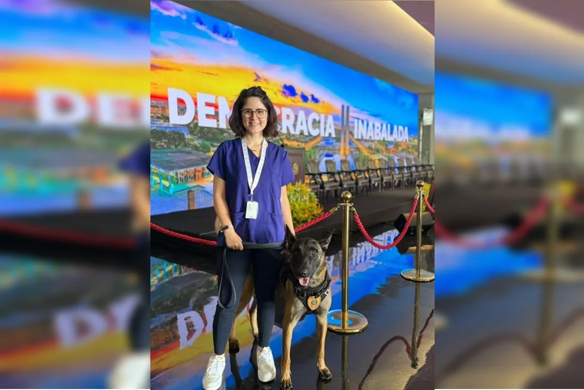 TJDFT determina que Justiça Federal investigue morte de veterinária