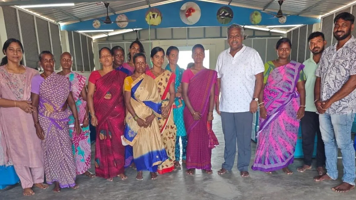 Tribal women from Pulicat earn ₹1 lakh from sale of farmed clownfish