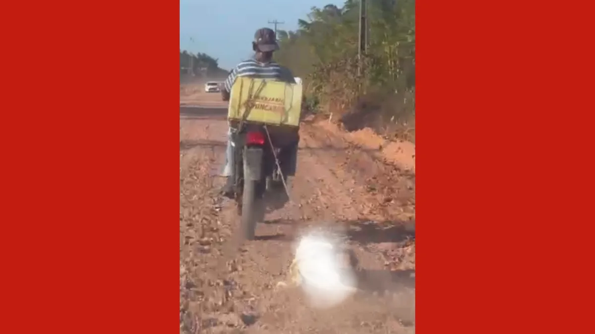 Polícia investiga homem que arrastou cão amarrado à moto no Pará