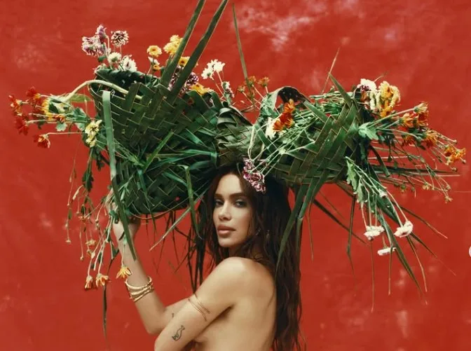 Os negócios com famosos e as festas de Daniel Vorcaro com a cantora Anitta