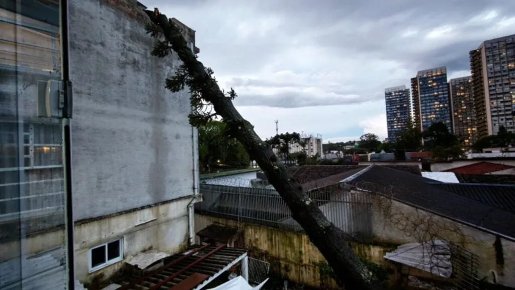 Pancadão de chuva provoca estragos em Curitiba; árvores caem sobre carros e danificam prédio