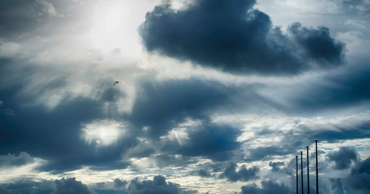 Clima hoy en Punta Lara, Buenos Aires: el pronóstico del tiempo para este sábado 22 agosto de 2026