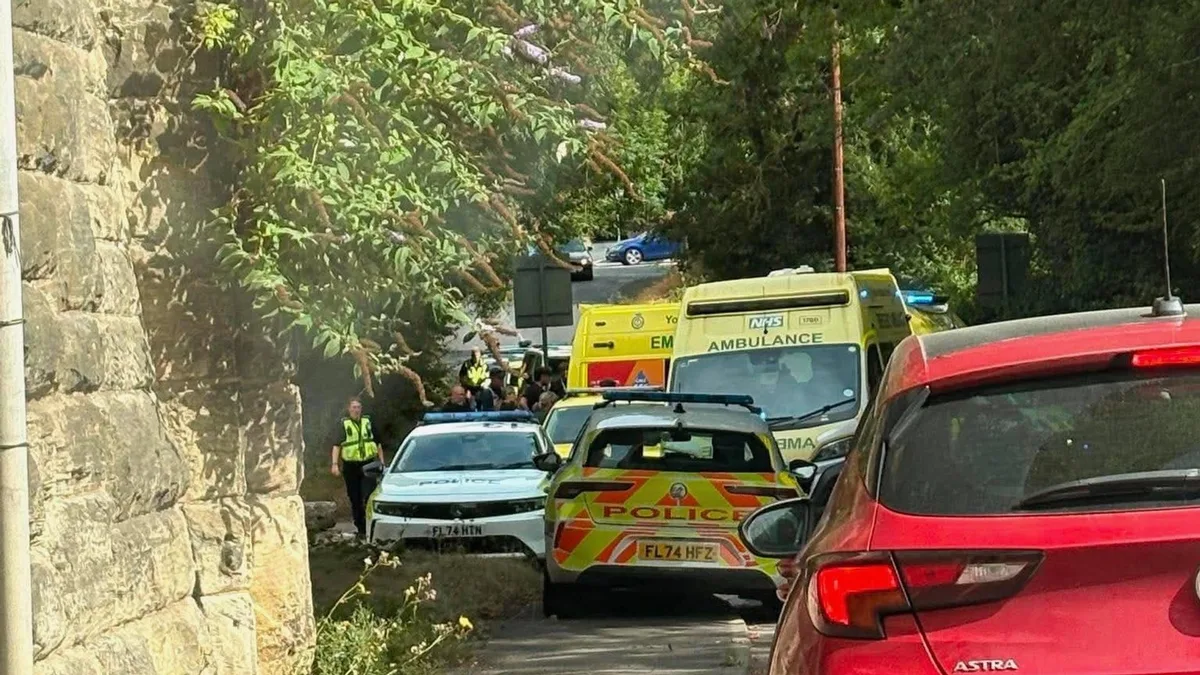 Man dies after being bitten by dog