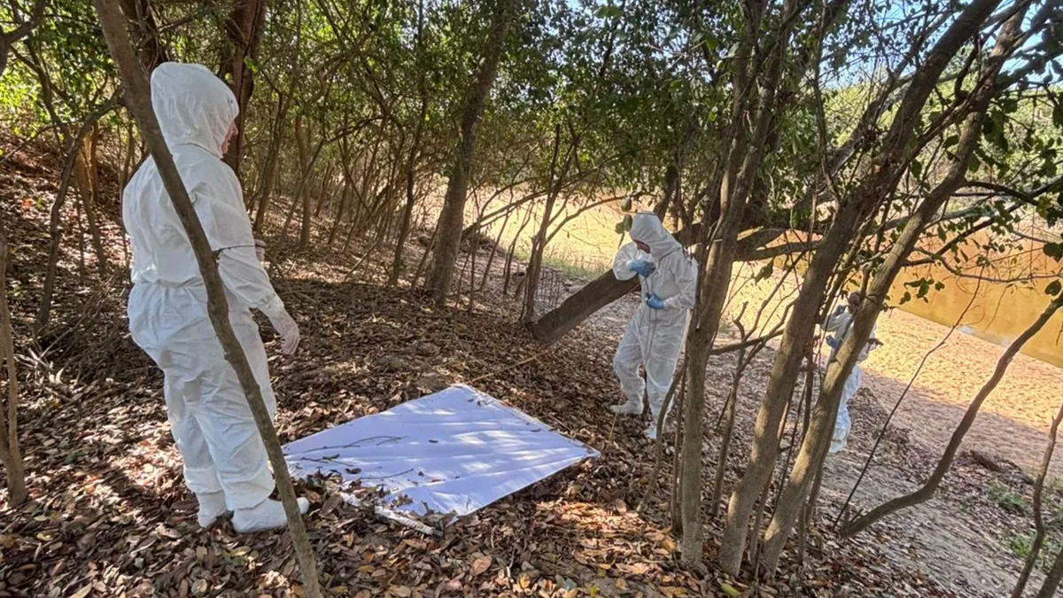 Febre maculosa: Boa Esperança confirma 3º caso e coleta carrapatos em comunidades