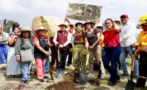 “Especies nativas, para reforestación humana”; especialistas piden planear siembra y mantenimiento