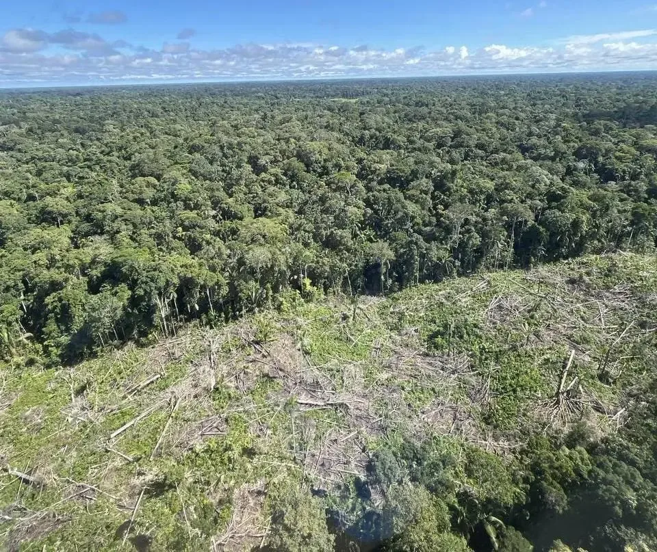 Acre perdeu 12,8 pontos percentuais de vegetação nativa em 40 anos