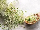 Sprouts recall expanded after multiple deadly bacteria found in more batches