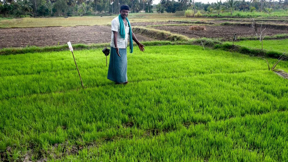 Karnataka monsoon deficit: Farmers in Mandya urged to shift to short-duration, dryland crops