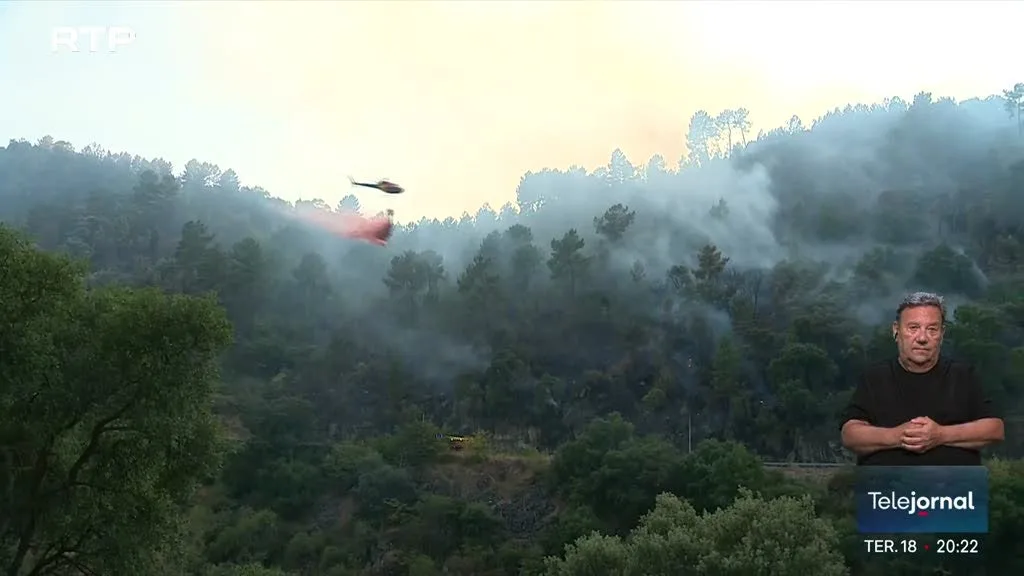 Incendiários em Portugal. Perfil ficou mais velho e com mais mulheres