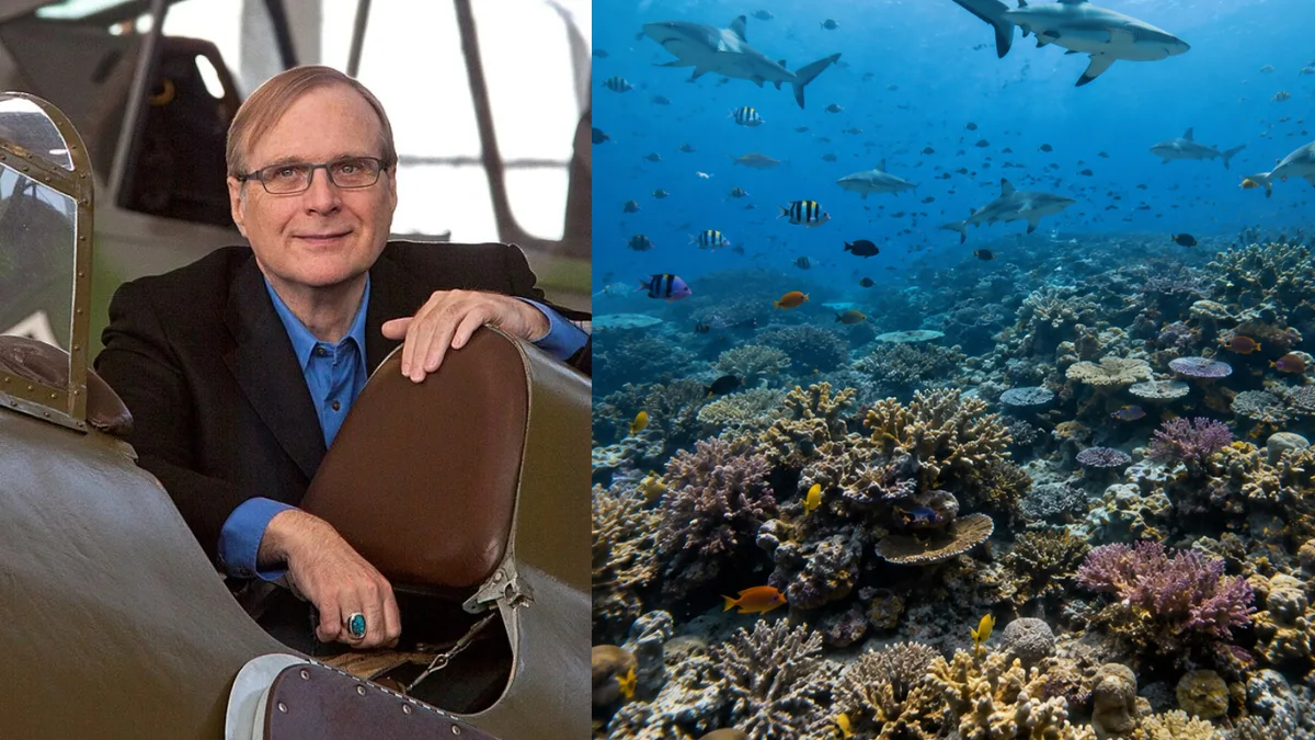 In 2015, Paul Allen launched a shark survey across 58 countries; 20% of reefs lacked sharks