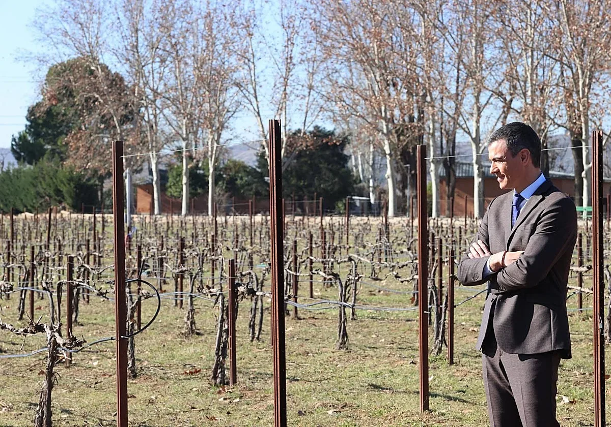 Menos de media hectárea es el tamaño medio de las 17.000 fincas que Sánchez anunció para jóvenes agricultores