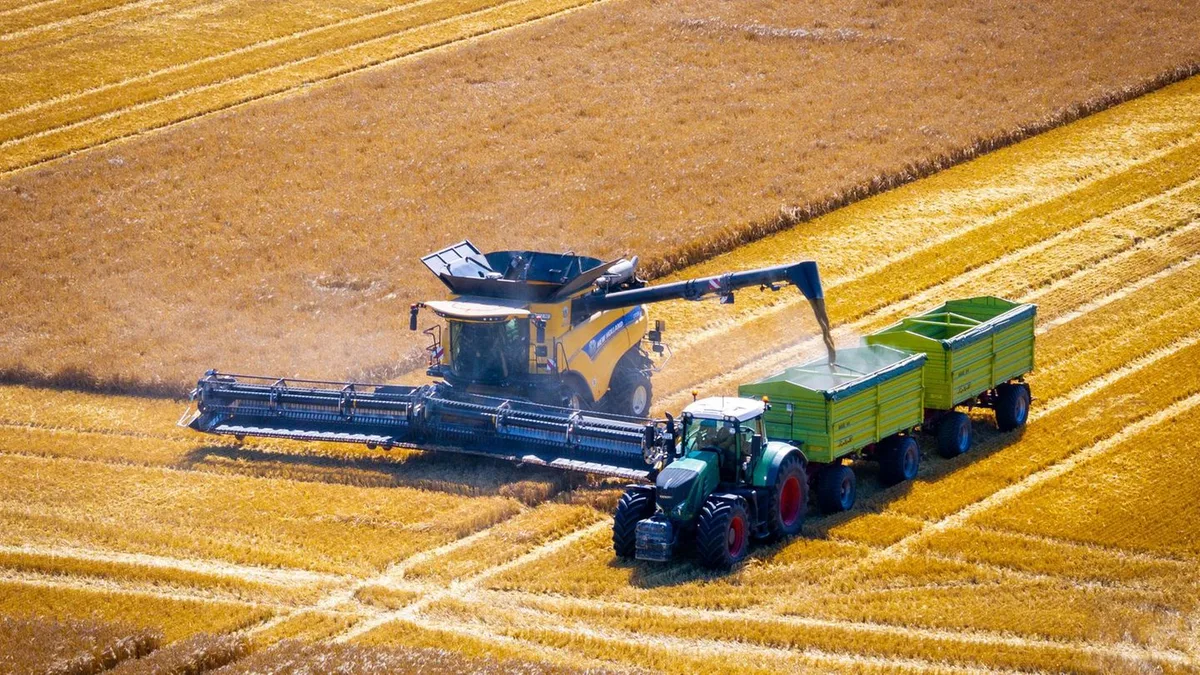 Landwirtschaft: Getreideernteertrag verharrt ungefähr auf Vorjahresniveau