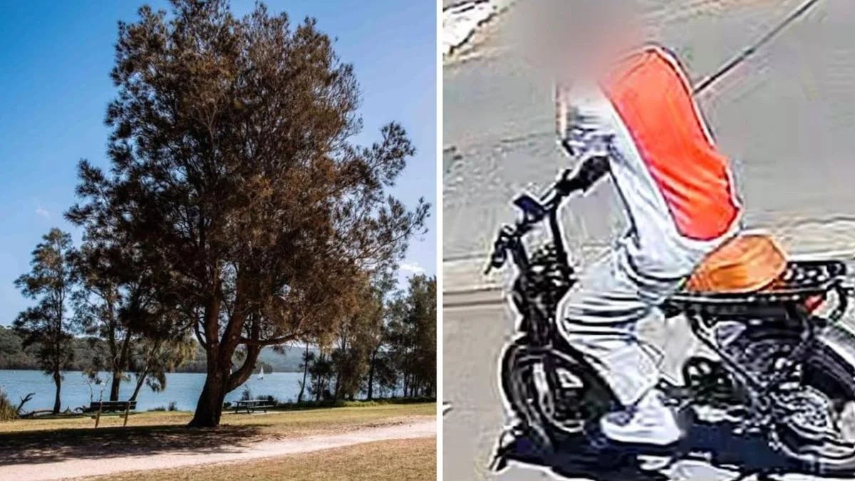 Narrabeen Lagoon: Teenage boy arrested following hunt for Northern Beaches e-bike predator