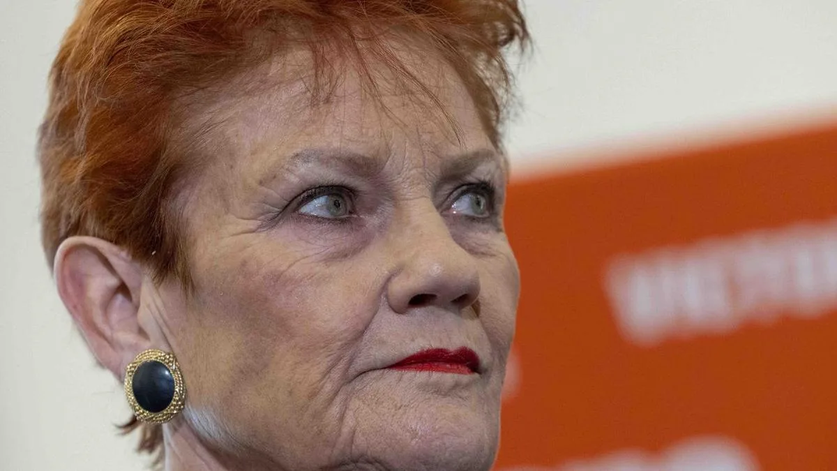 Perth man appears in court charged with threatening to ‘hunt down and kill’ Pauline Hanson