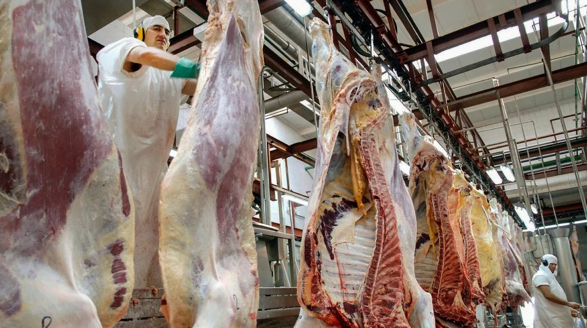 El ingreso de dólares por exportaciones de carne cayó en el último mes, pero sigue muy por encima que el año pasado