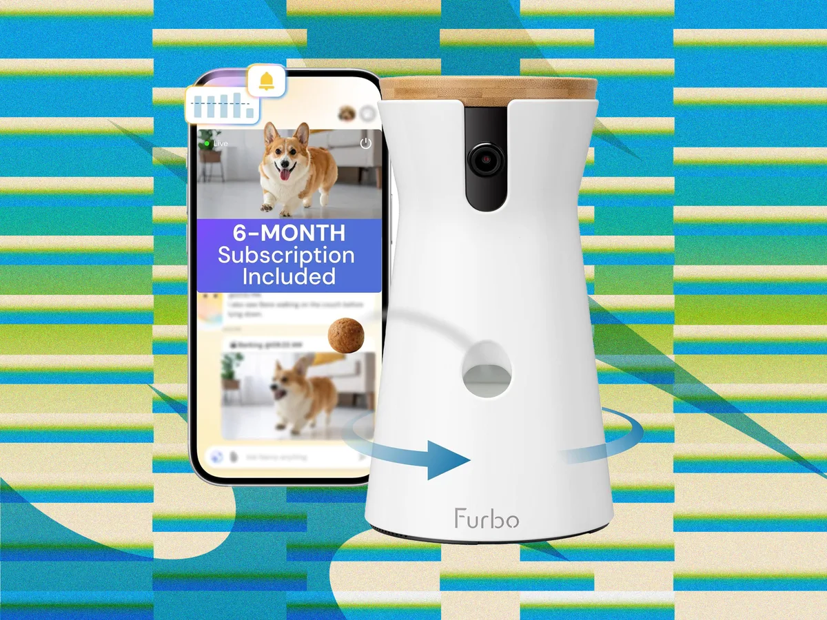 The Best Amazon Prime Day Pet Deals on Feeders, Litter Boxes, and More (2026)