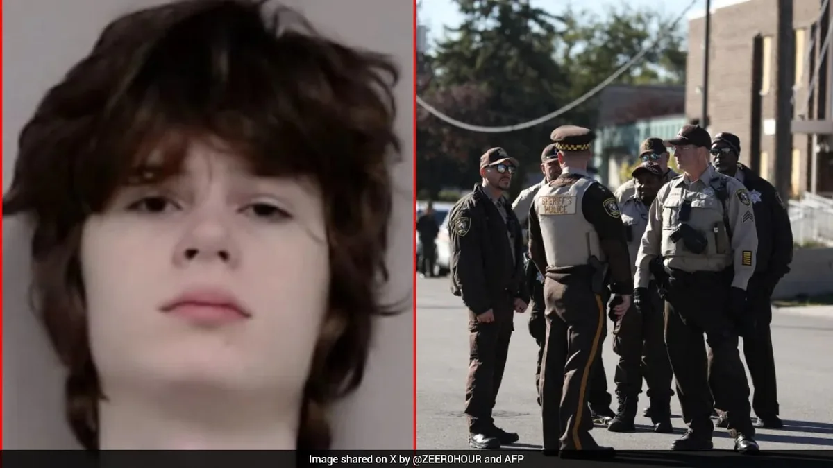 US Teen Goes To Hindu Temple For 'Mass Shooting', Jammed Rifle Stops Him
