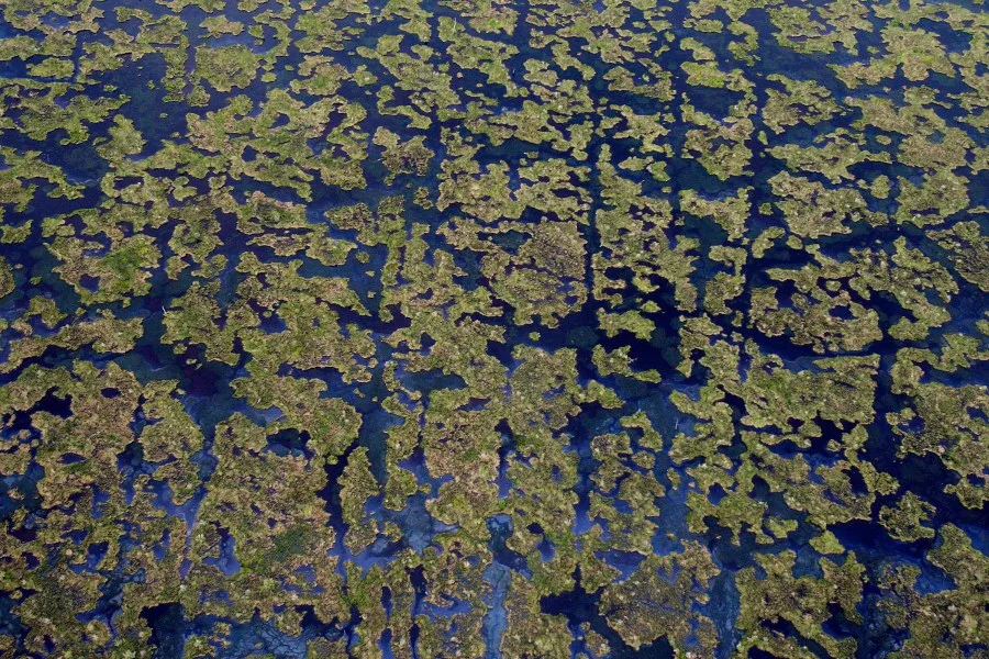 Wetlands policy causes GOP friction